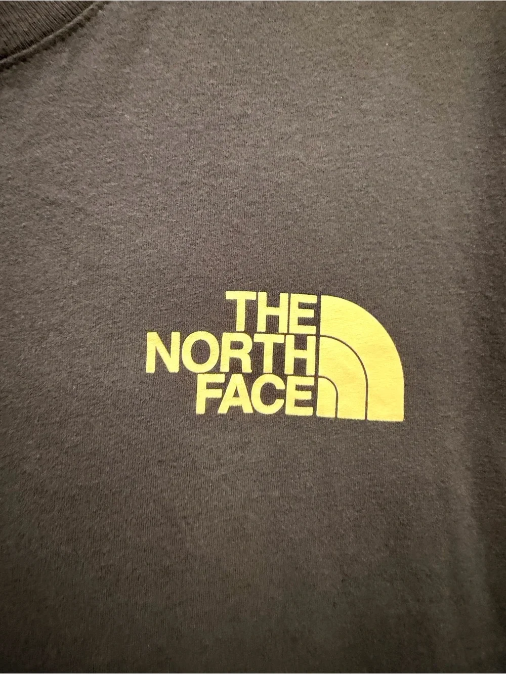 The North Face classic north